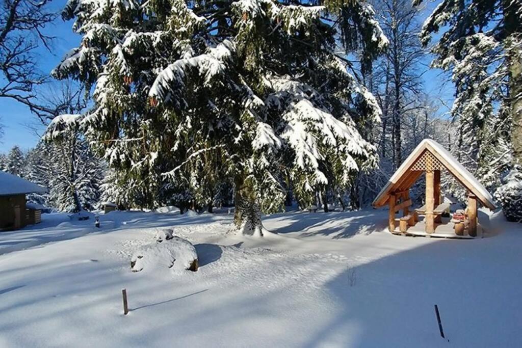 Le Petit Loup, Appartement Neuf Avec Jardin Gerbépal Bagian luar foto
